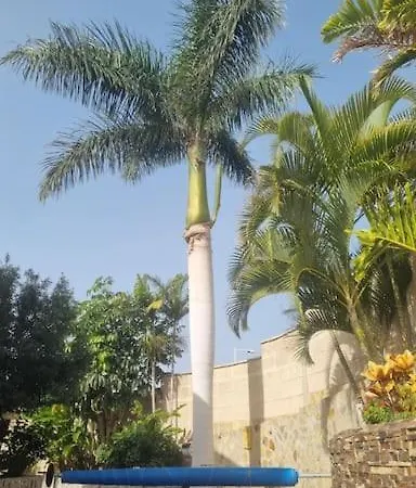빌라 Palma *