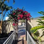 Palma فيلة