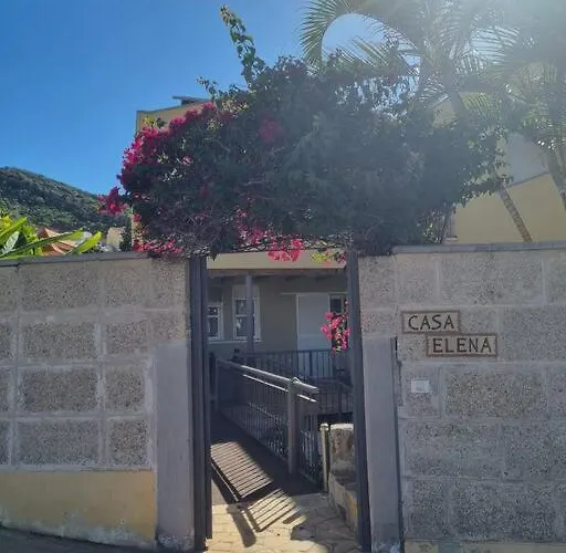 Palma فيلة أذيخي